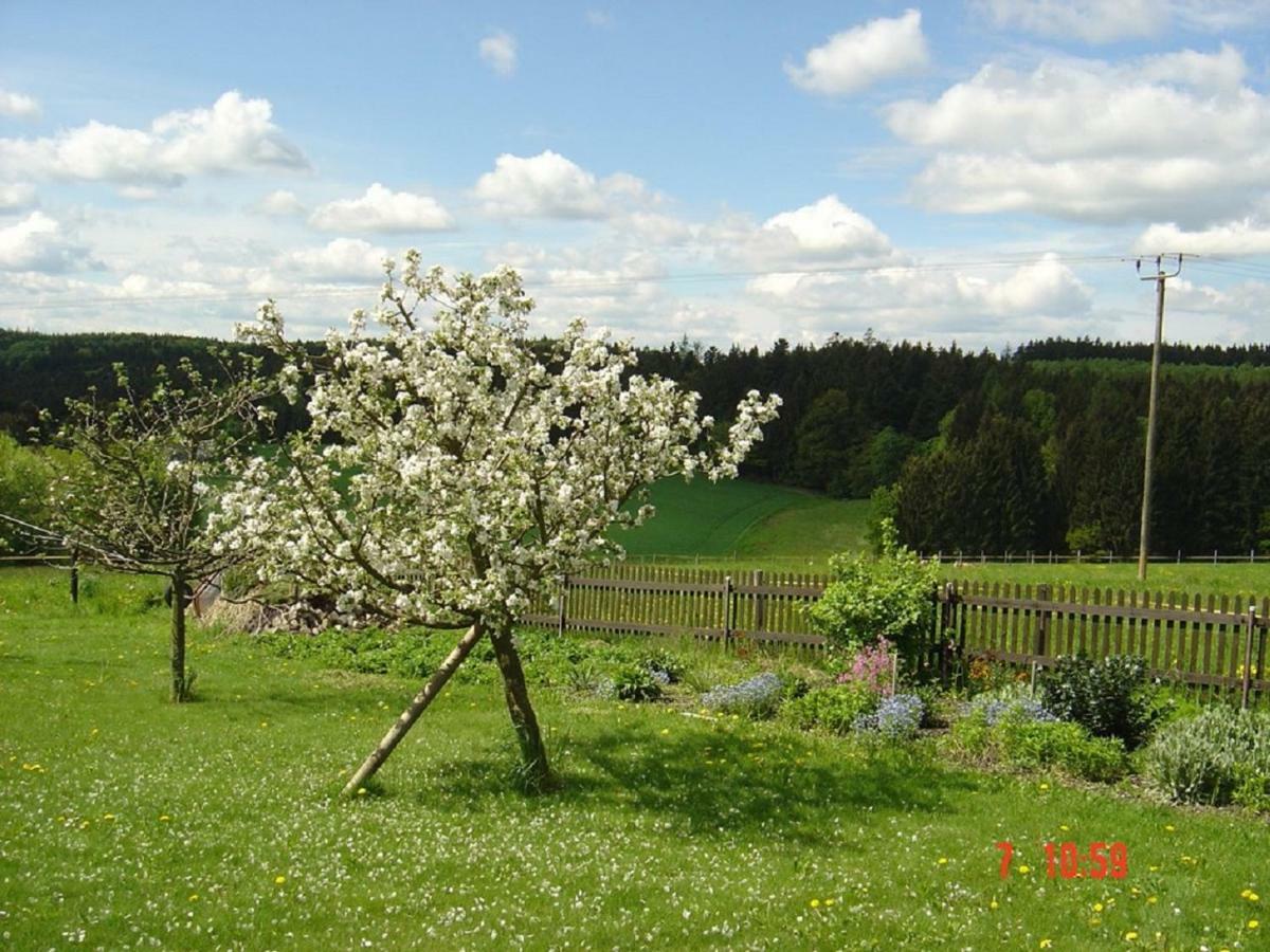 Pension Steiger Bad Griesbach  Luaran gambar
